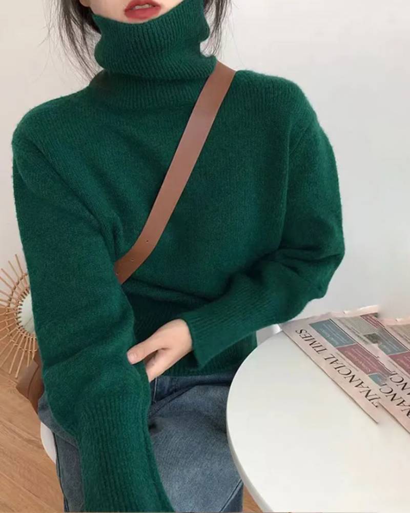 Pullover Style Turtleneck Sweater