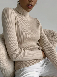 Knitted Basic Turtleneck Sweaters