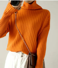 Ribbed Knit Turtleneck Wool Sweater