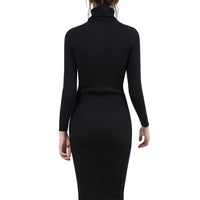 Turtleneck Long Sleeve Bodycon Midi Dress