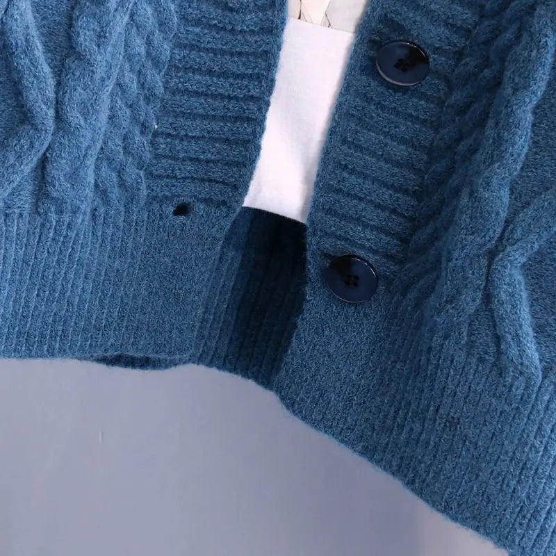 Twist Short V-Neck Single-breasted Knitted Cardigan