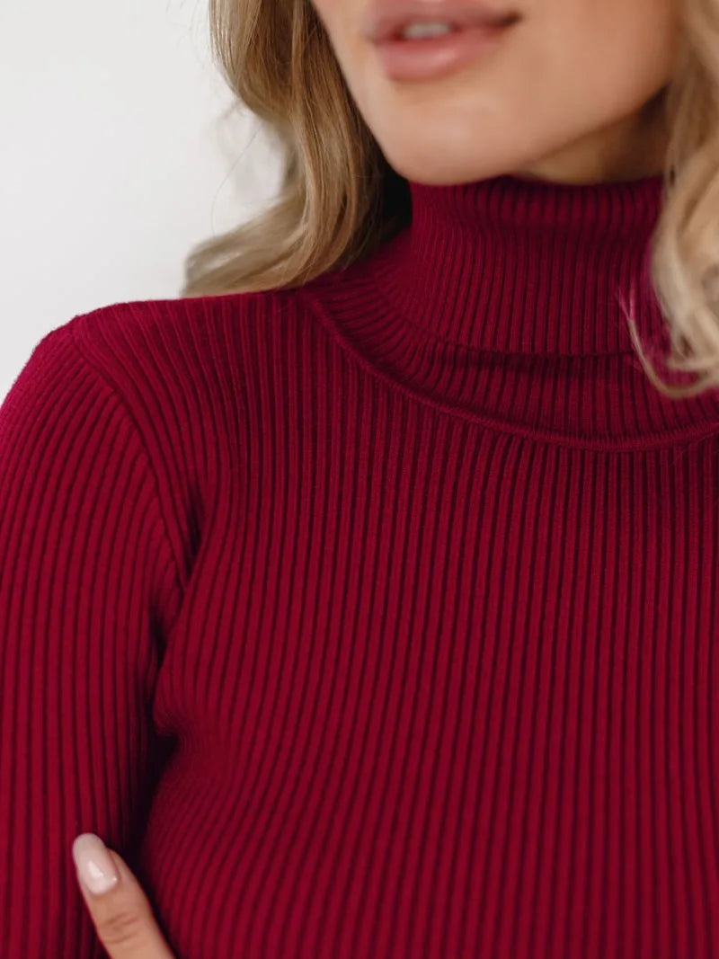 Knitted Basic Turtleneck Sweaters