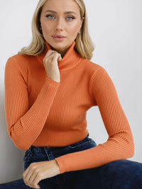 Knitted Basic Turtleneck Sweaters