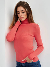 Knitted Basic Turtleneck Sweaters